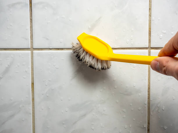 Best Attic Mold Removal  in Chalco, NE