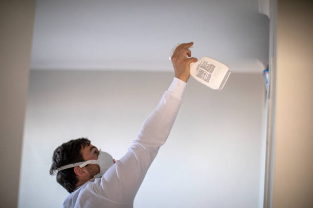 Best Best Mold Removal Companies  in Chalco, NE